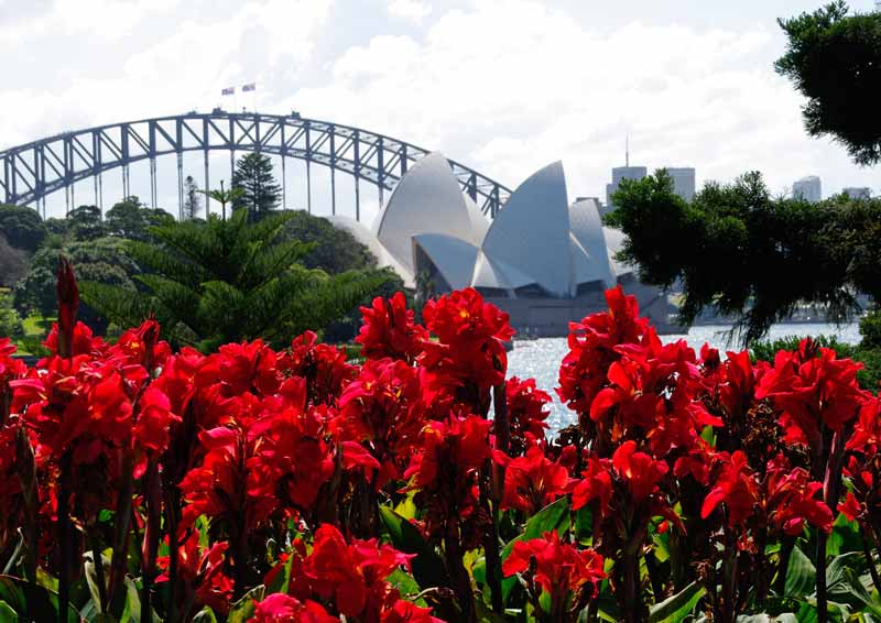 View Opera House from Royal Botanic Garden Sydney in September